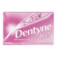 Dentyne, Arctic bubble flavoured sugar-free gum, 1 un