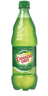 Canada dry ale 250ml
