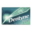 Dentyne, Shiver flavour sugar-free gum, 1 un