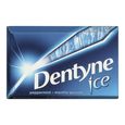 Dentyne, Peppermint flavoured sugar-free gum, 1 un