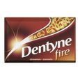 Dentyne, Cinnamon flavoured sugar-free gum, 1 un