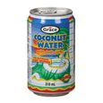 Grace, Coconut water beverage with pulp, 310 ml